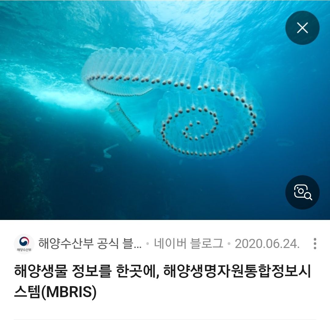 가위살파