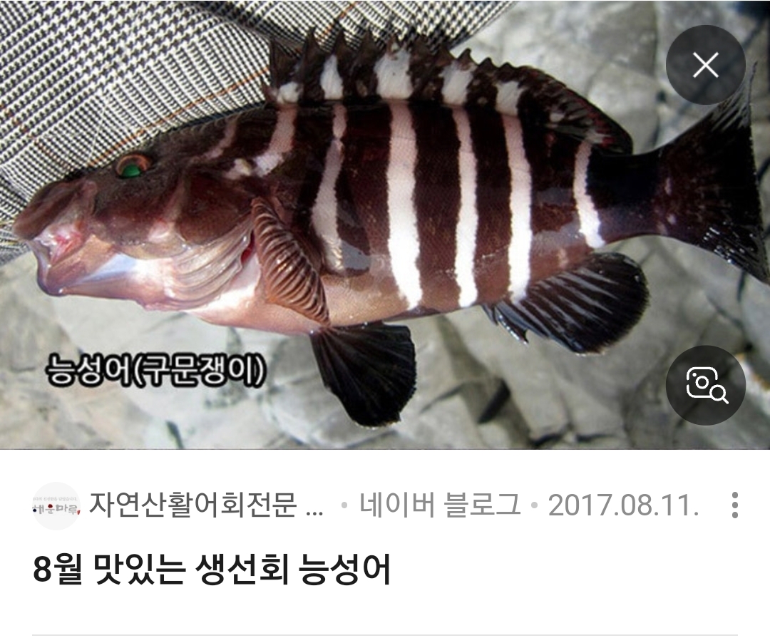 능성어