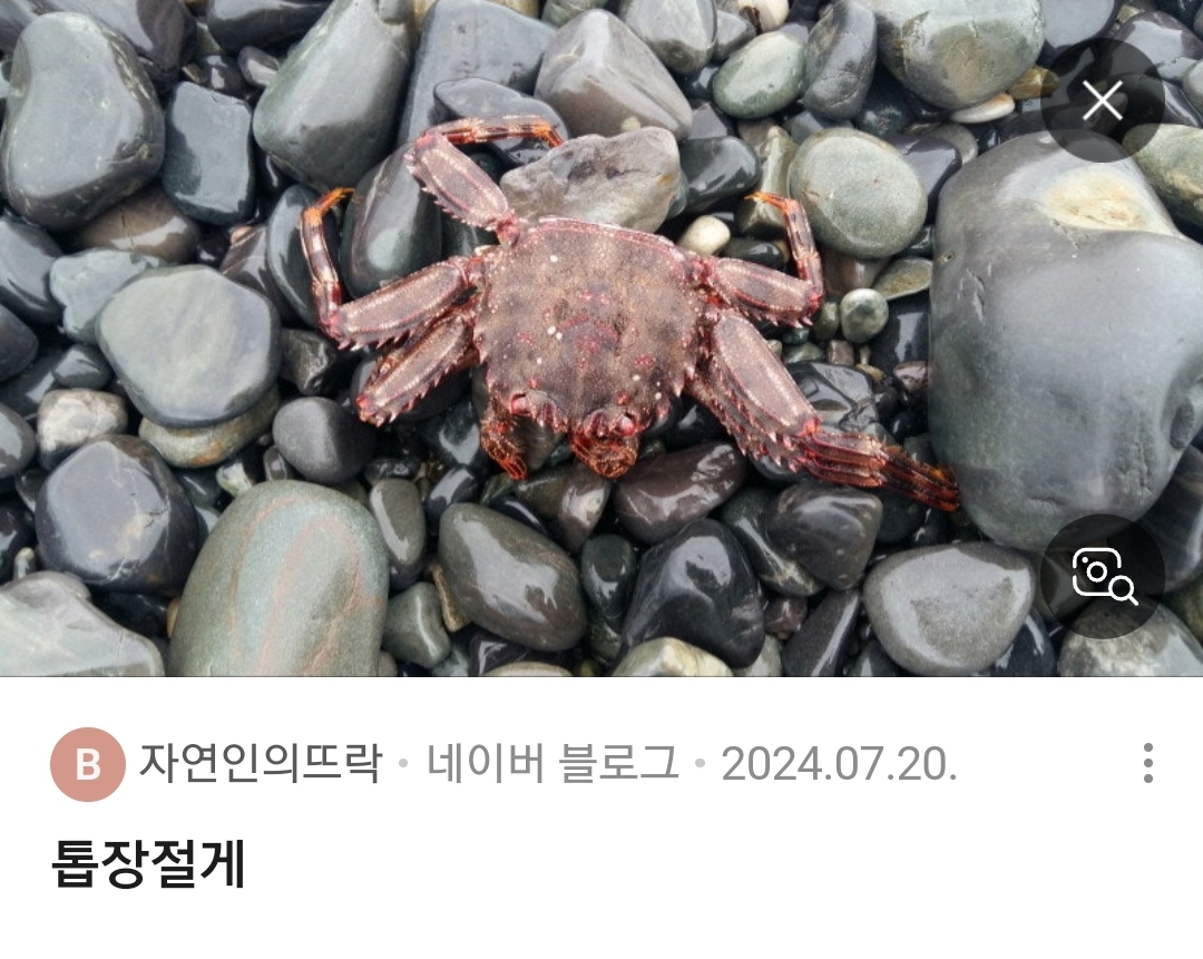 톱장절게